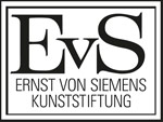 Logo EVS Stiftung